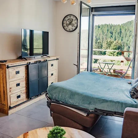 Apartment La Rayee Gérardmer