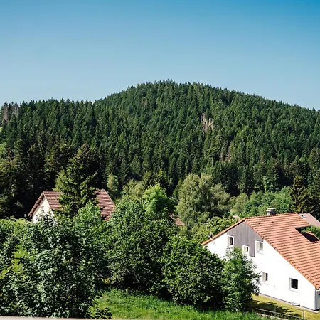 Apartment La Rayee Gérardmer